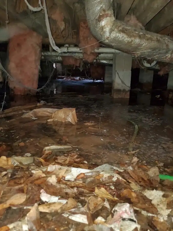 Crawl space flood assessment for Leak Detection & Repair in Weiser
