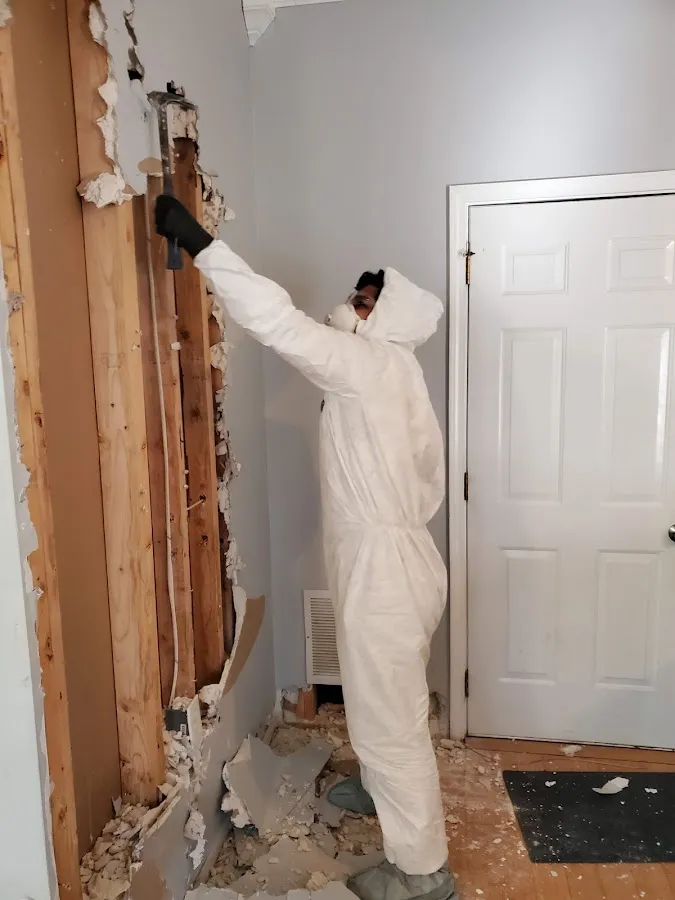 Mold Remediation & Removal in Weiser, ID